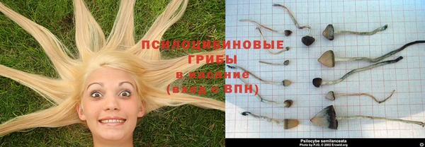 амфетамин Аркадак