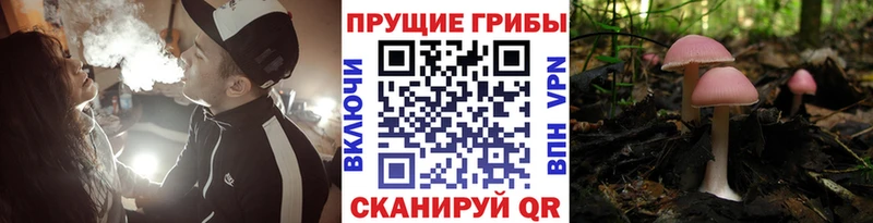 МЕГА ссылка  Белорецк  Псилоцибиновые грибы Magic Shrooms 